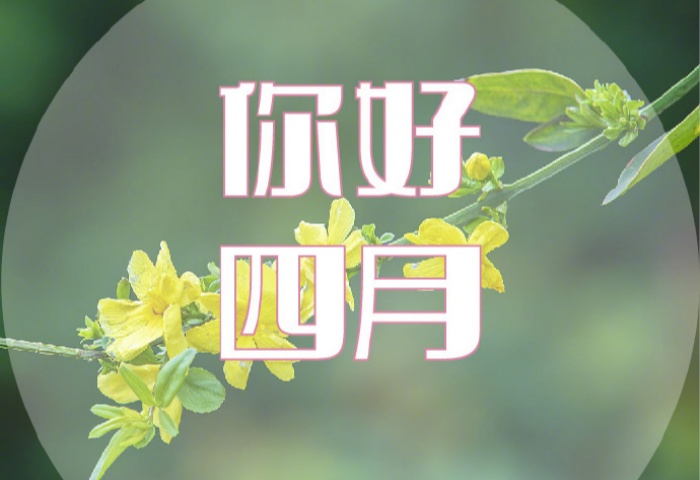 4 月裝修，錯(cuò)過等一年！青島業(yè)主必看的裝修黃金時(shí)機(jī)?